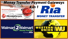 Money Transfer Payment Options