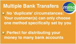 Multiple Banks Accounts payment option