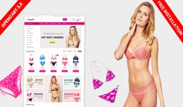 Lingerie and Adult e-commerce template (Free Ins..