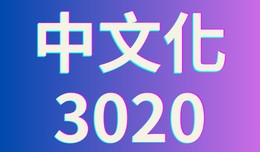 中文化 3020